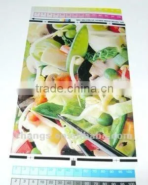 Automatic plastic film gravure printing press