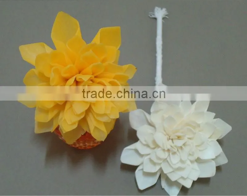 Sola wood flower