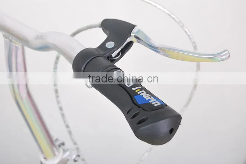 12 Inch Steel Folding Bike Bicycle