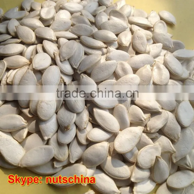 pumpkin seed kernels