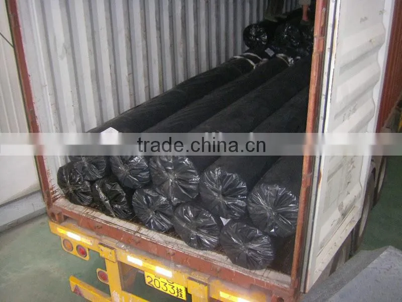 biaxial geogridTGSG30-30/plastic geogrid/geogrids for road,railway