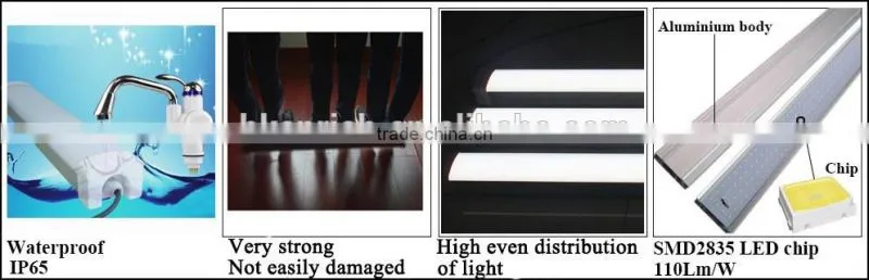 Super brightness Emergency led tri-proof