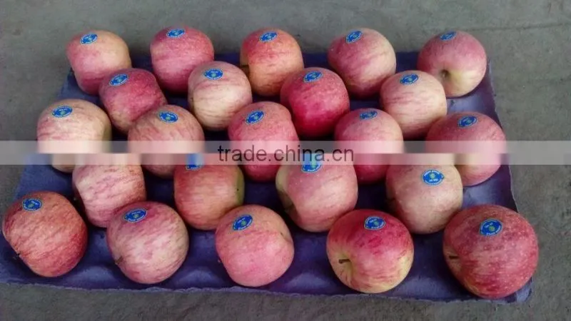 Fresh Qinguan apple