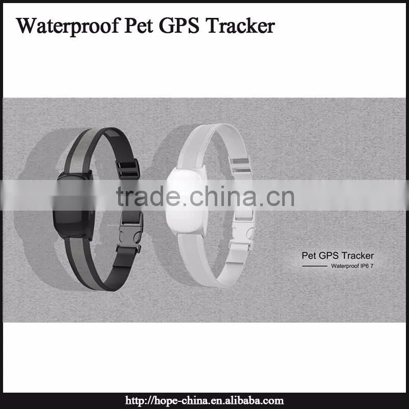 Most popular animal gps tracking device,gps dog collar,cat collar gps tracker