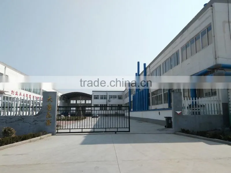Weifang Datang Musical Instruments Development Co., Ltd. company overview - view 2