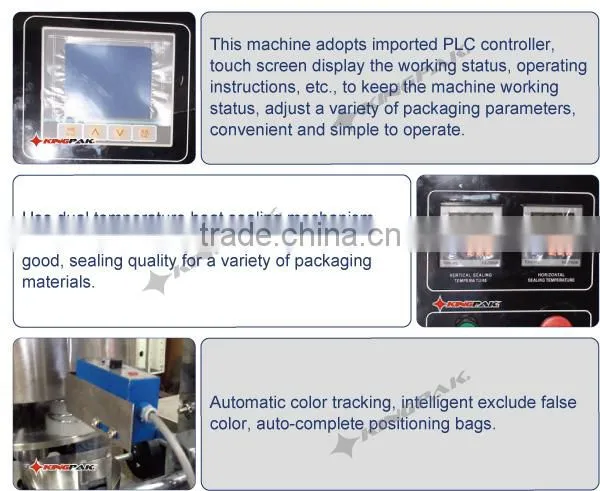 HP100P Automatic Chilli Powder And Sachet Packing Machine