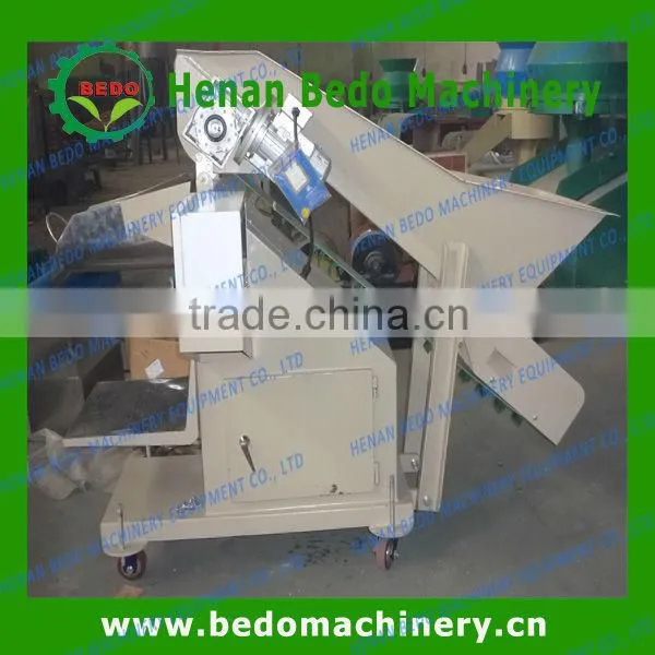 BBQ charcoal briquette packing machine/ onion packing machine