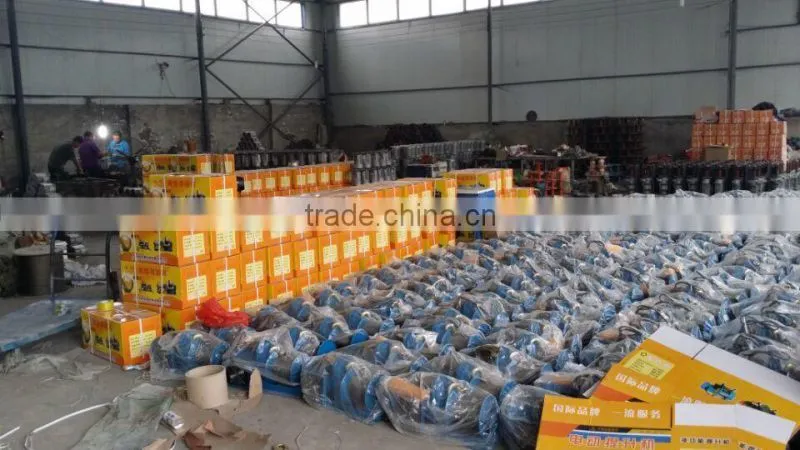 Chinese Factory Electric Construction Hoist Motor