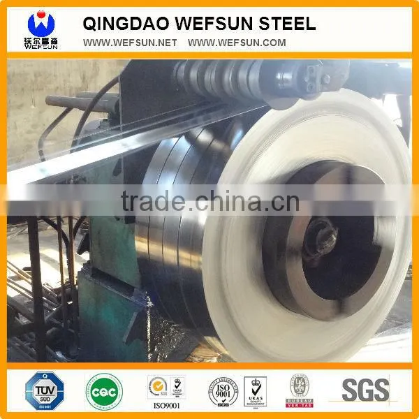 Wefsun Galvanized Steel Strip