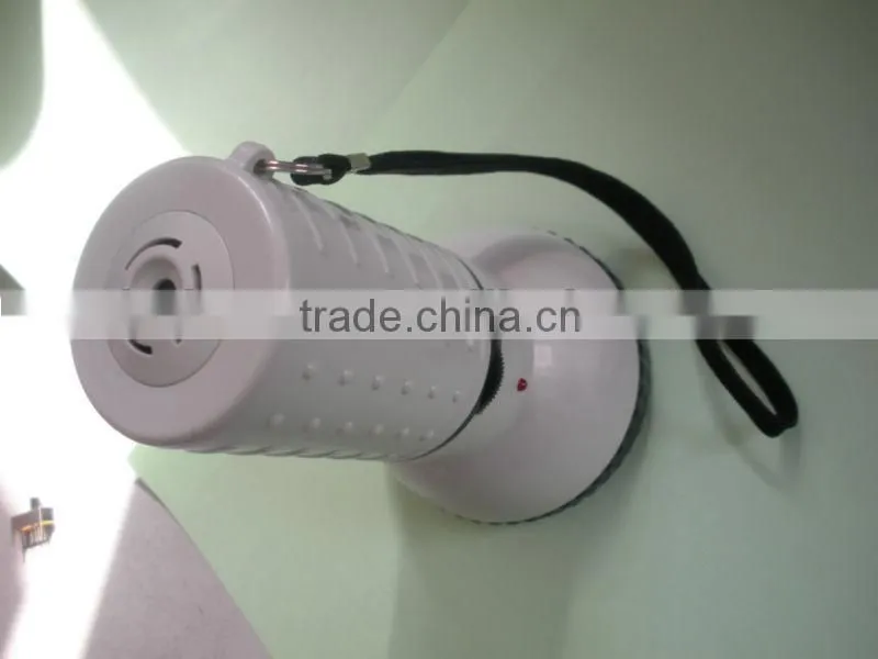 mini megaphone