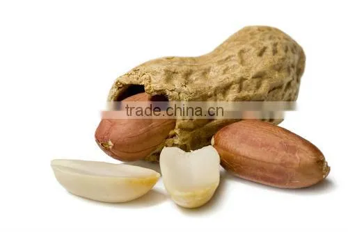 Peanuts