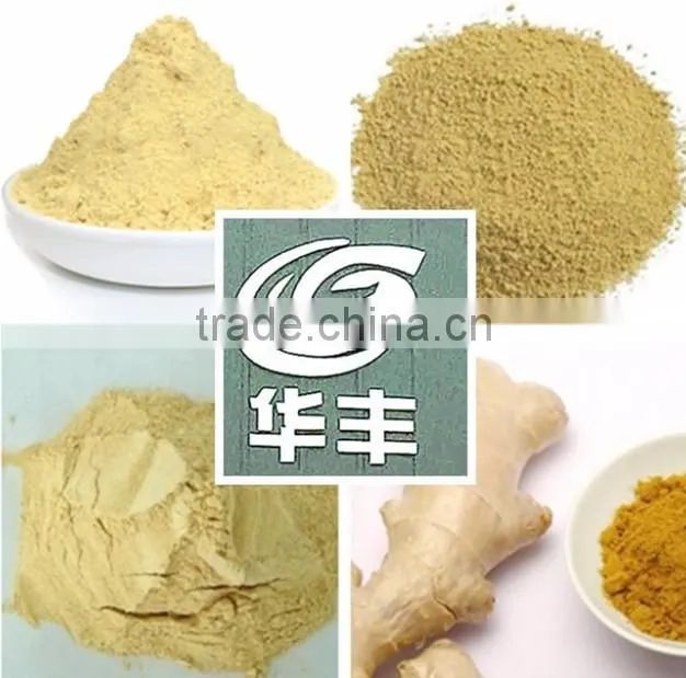 Dried Ginger Powder Hight Quality Ginger Root Extract Powder