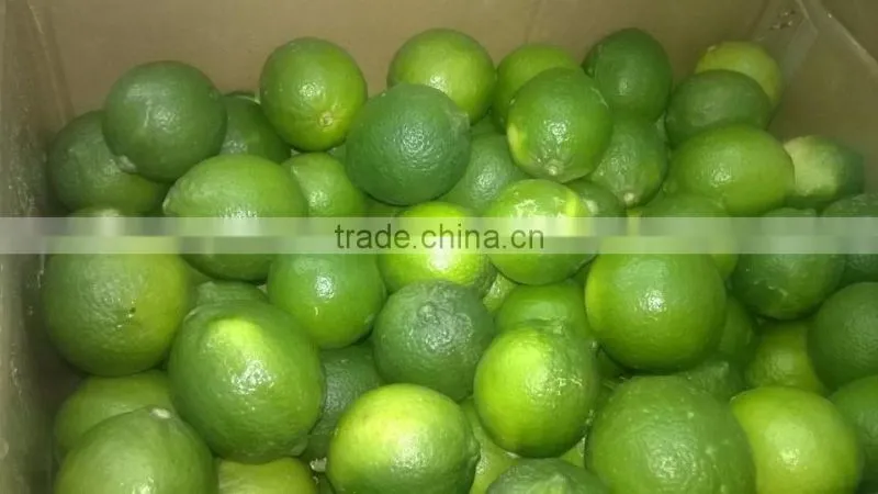 FRESH LEMON & FRESH LIME BEST price