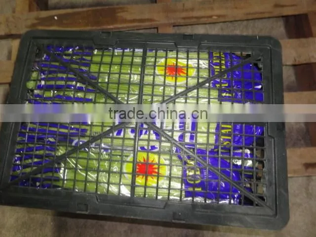 Fresh celery net weight 9kg