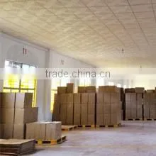 Beijing Thomas Food Corporation company overview - view 3