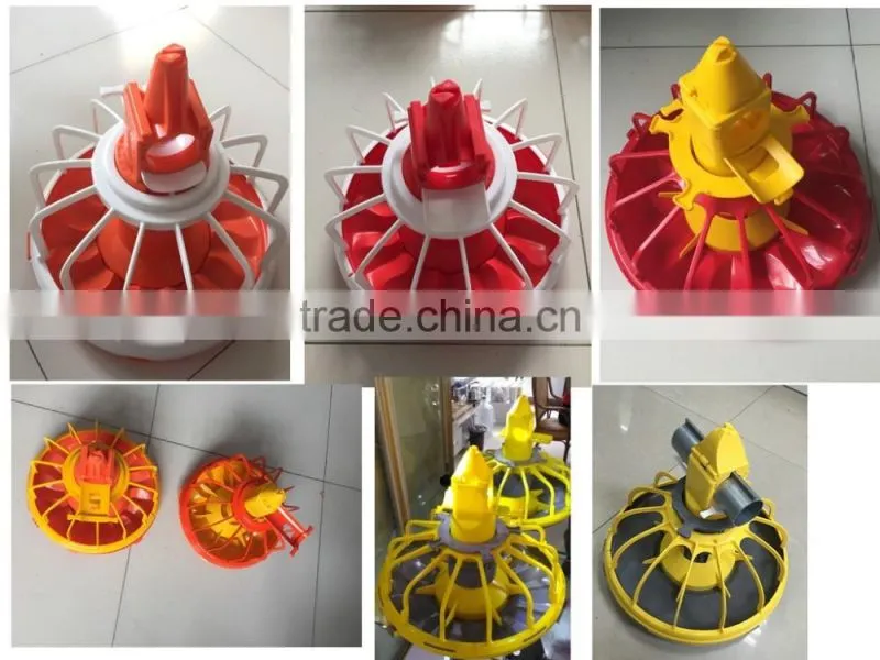 Chicken feeding system