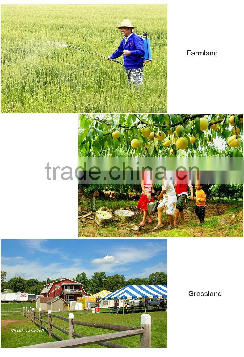 2015 new mini hand sprayer