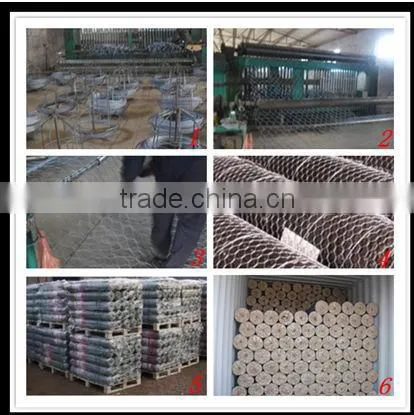 Hot sales twist hexagonal wire meshes