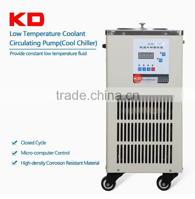 DLSB-30 Lab Low Temperature Cooling Liquid Circulating Pump