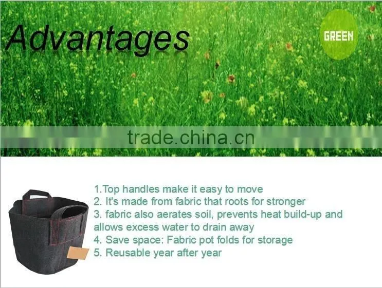 2016 Environment-friendly hydroponic plant fabric pots / maintains necessary balance