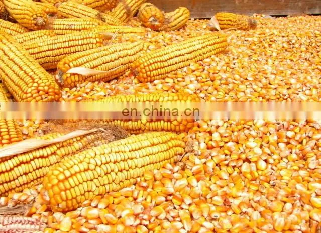 large stock corn/ maize huller/ stripper/ thresher machine/ skin peeler