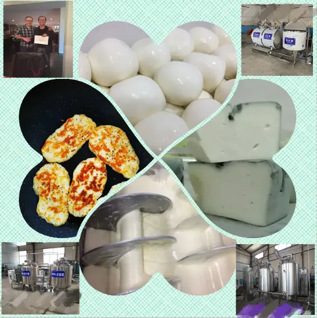 Cheese Processing Production Line Complete Equipment Mozzarella Cheese Production Line