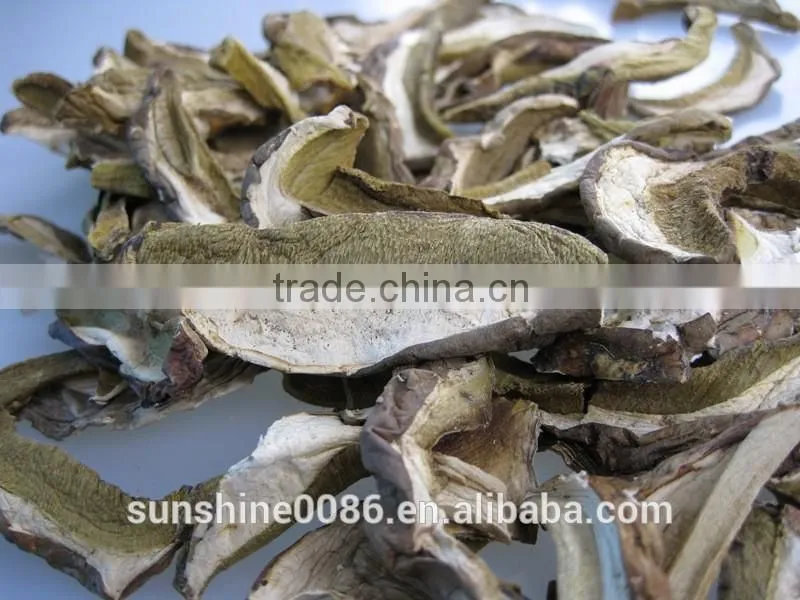 Dried boletus mushroom