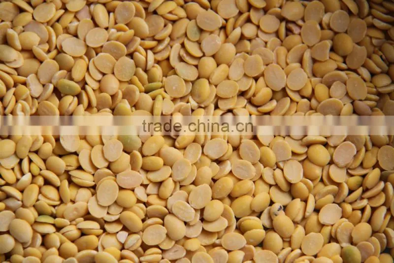 High quality bean skin peeling machine/soybean skin removing machine for sale