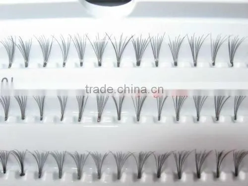 Growing Lashes/Flare Lashes