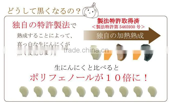 Handmade and organic Black garlic Japanese ponzu sauce (soy sauce and citrus juice mix together) 190ml
