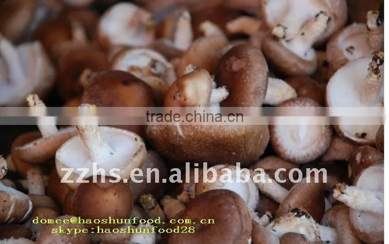 Canned Shiitake mushroom HACCP Approval