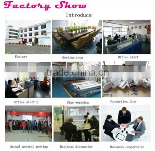 99.99% large dust capacity HEPA Filter