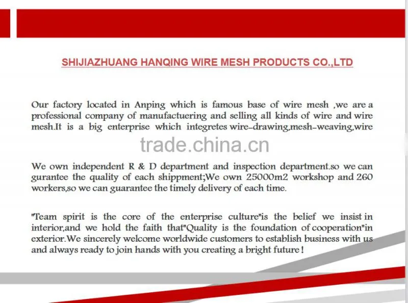 Galvanized/ Steel/ Expanded Wire Mesh for Building