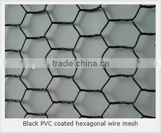 Hexagonal woven twist wire mesh - galvanized and PVC coated chicken mesh price