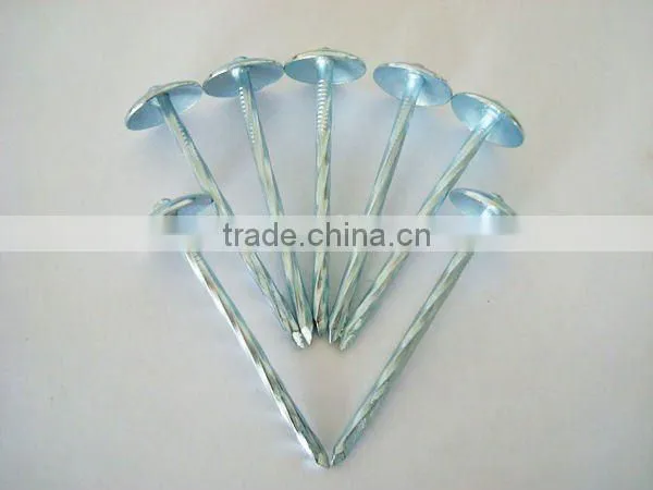 GI roofing nail galvanized roofing nail