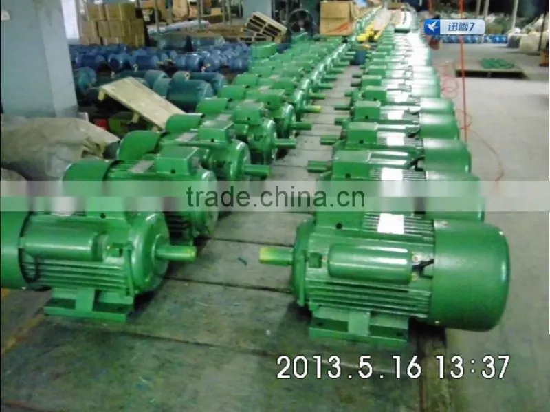 Three phase MS series Induction Motor