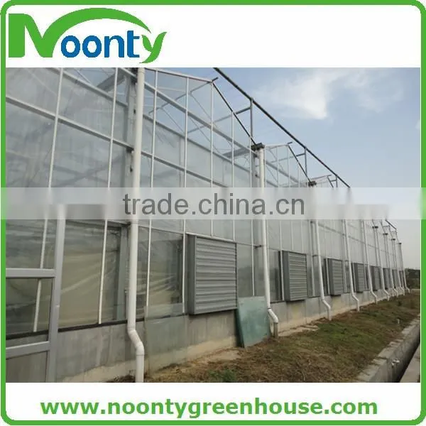 Glass Greenhouse