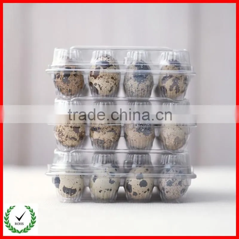Cheap plastic egg trays,quail eggs boxes,plastic disposable pet quail egg tray