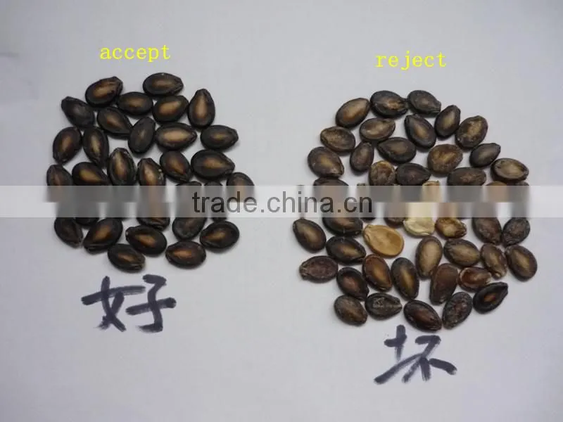 dried fruit sorting machine melon seeds color sorter