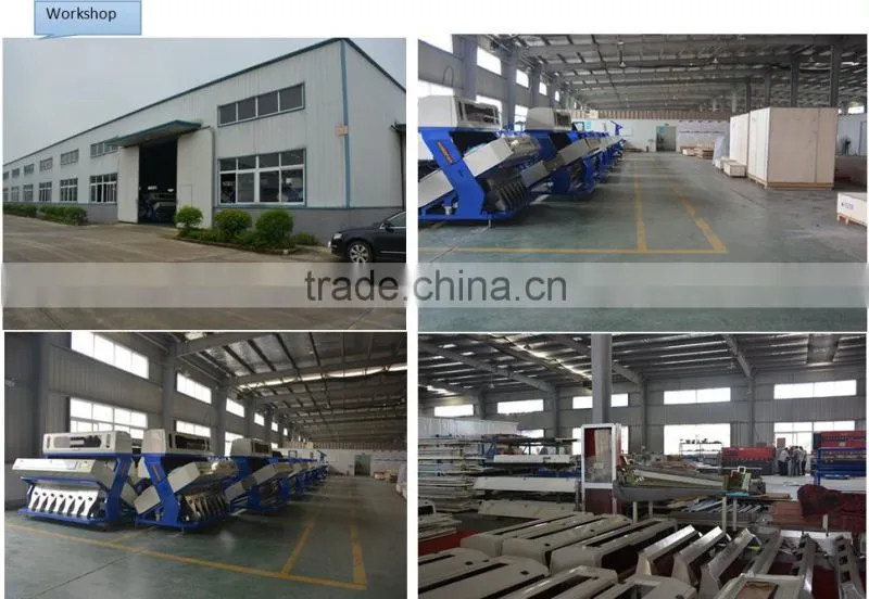Double camera CCD Sensor Seeds sorting machine or seeds color sorter