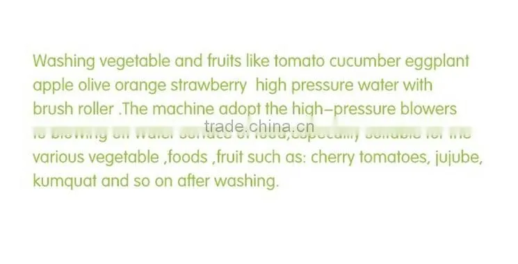 HP-220 + DM-15 fruit washing and drying machine