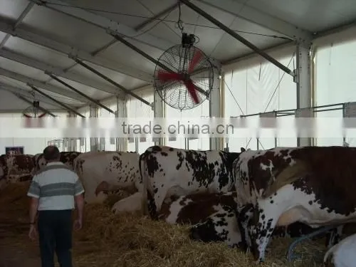 cow fan/hanging fan/dairy fan/dairy house fan/cow house fan