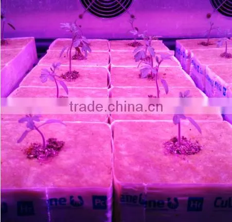 Greenhouse used hydroponic rock wool