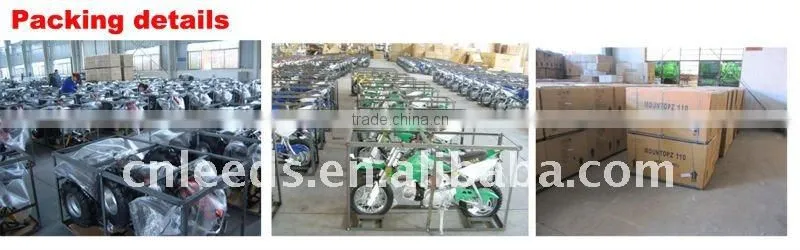 EEC 49CC MINI POCKET BIKE/DIRT BIKE(MC-501)