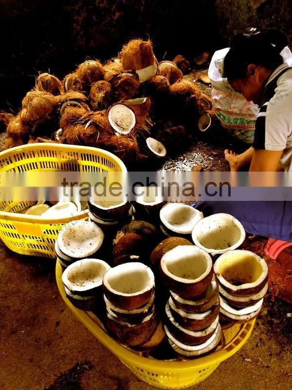 CE approved stainless steel fresh coconut oil press machine