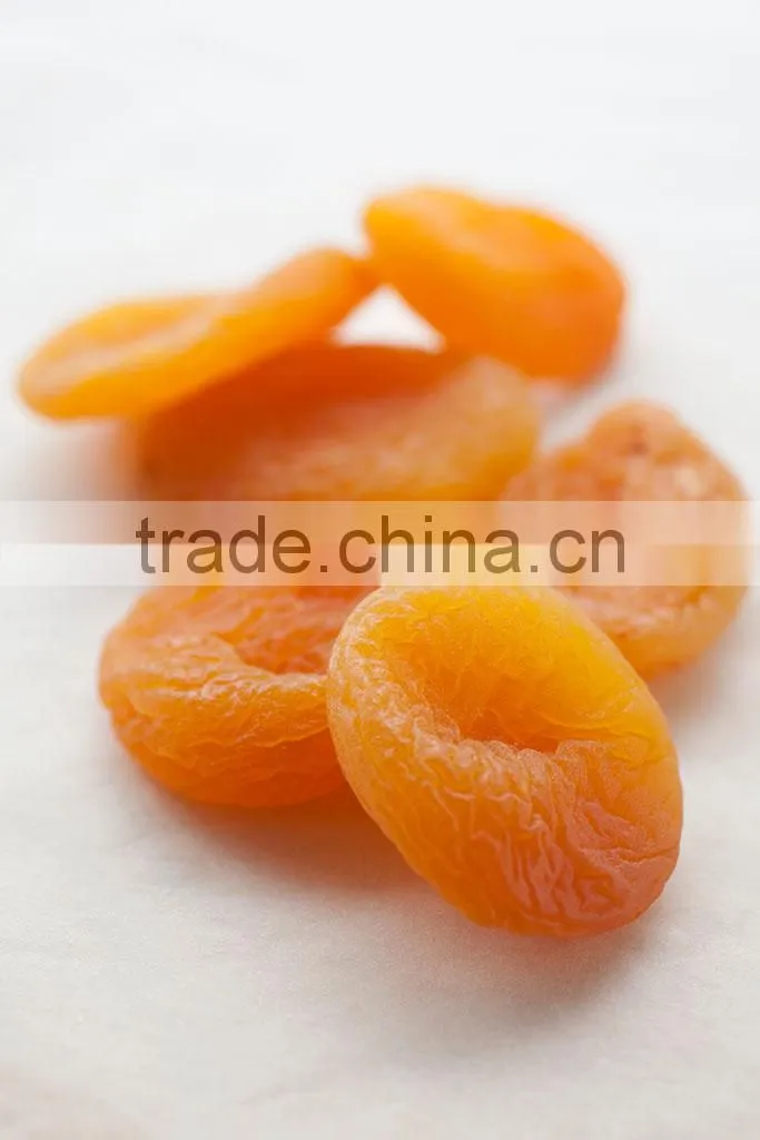Apricot Multiple layer continuous type mesh belt dryer