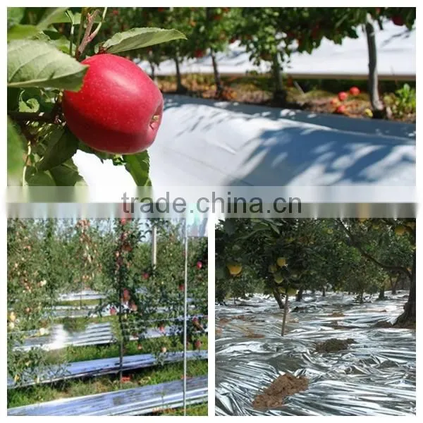silver color reflective metalized cpp film