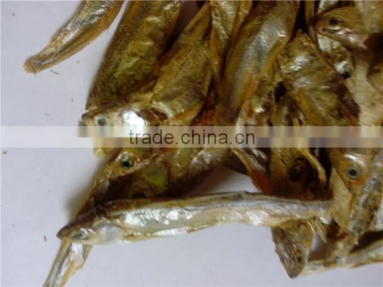 Dry dog food dry fish wholesale dog food