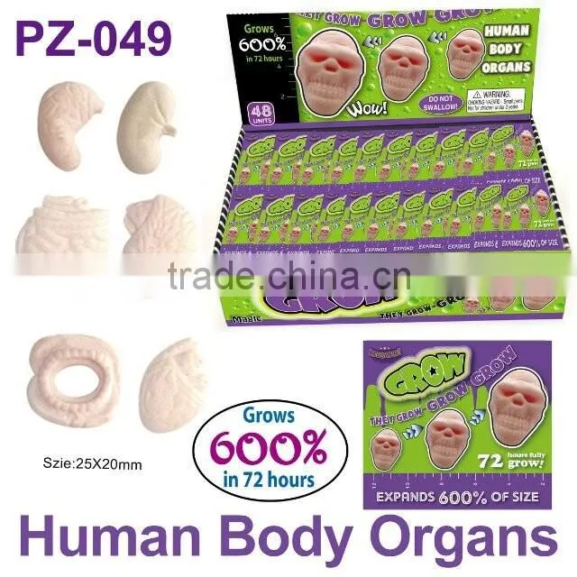 Crazy Water Growing Human Body Organs