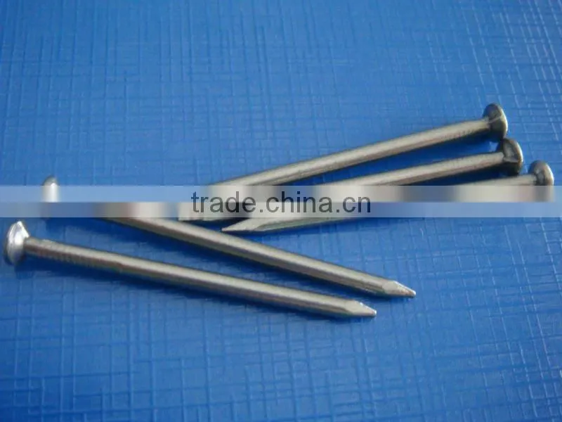 Construction and Building Common round iron nail